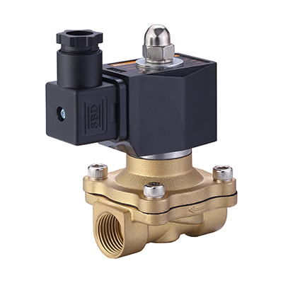 N2W160-10-110VAC