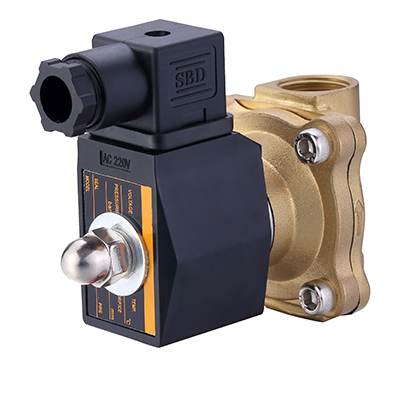 N2W160-10-110VAC