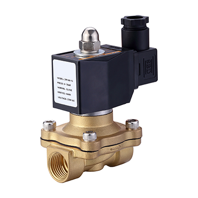 N2W160-10-110VAC