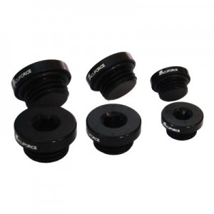 Blanking Plugs
