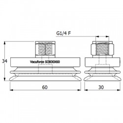 SOB30X60N-60-G1/4F