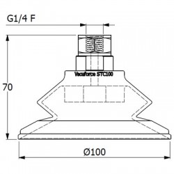 STC100N-60-G1/4F